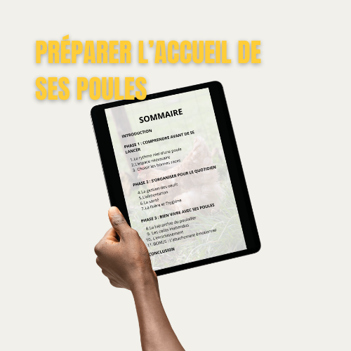 10 choses que j'aurais aimé savoir avant d'avoir des poules