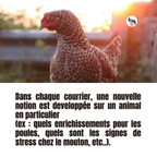 Les courriers de la ferme