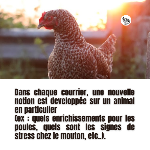 Les courriers de la ferme