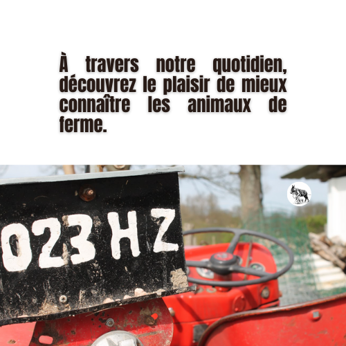 Les courriers de la ferme