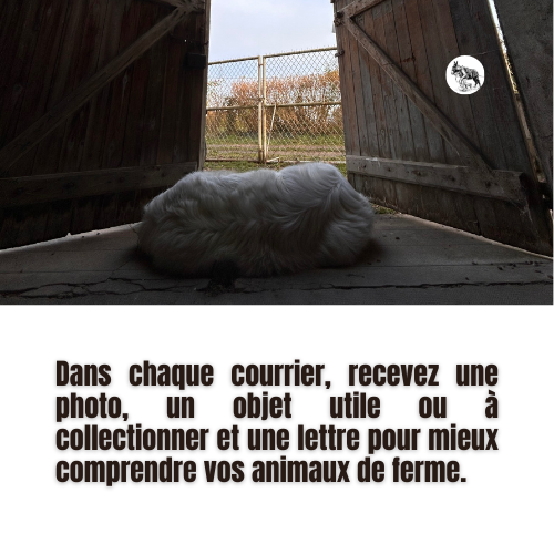 Les courriers de la ferme