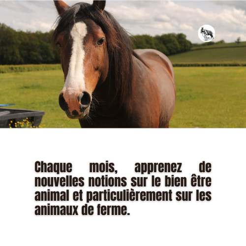 Les courriers de la ferme