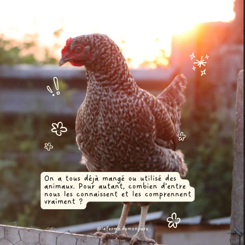 Les courriers de la ferme