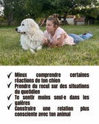 CHIENS