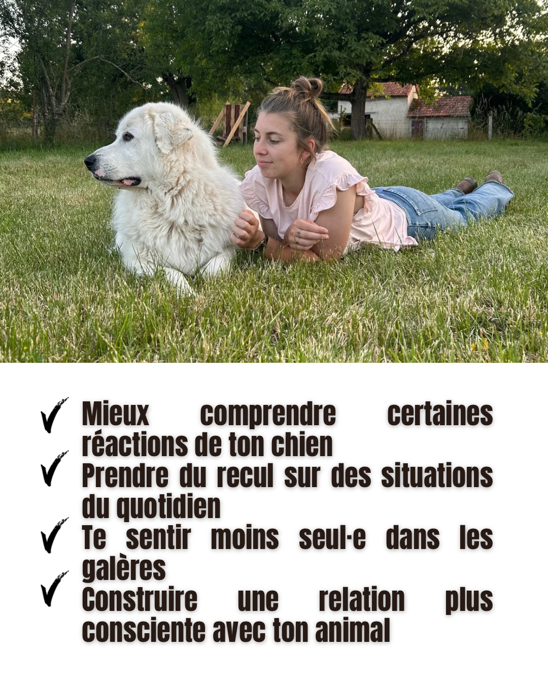 CHIENS