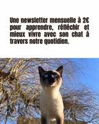 CHATS