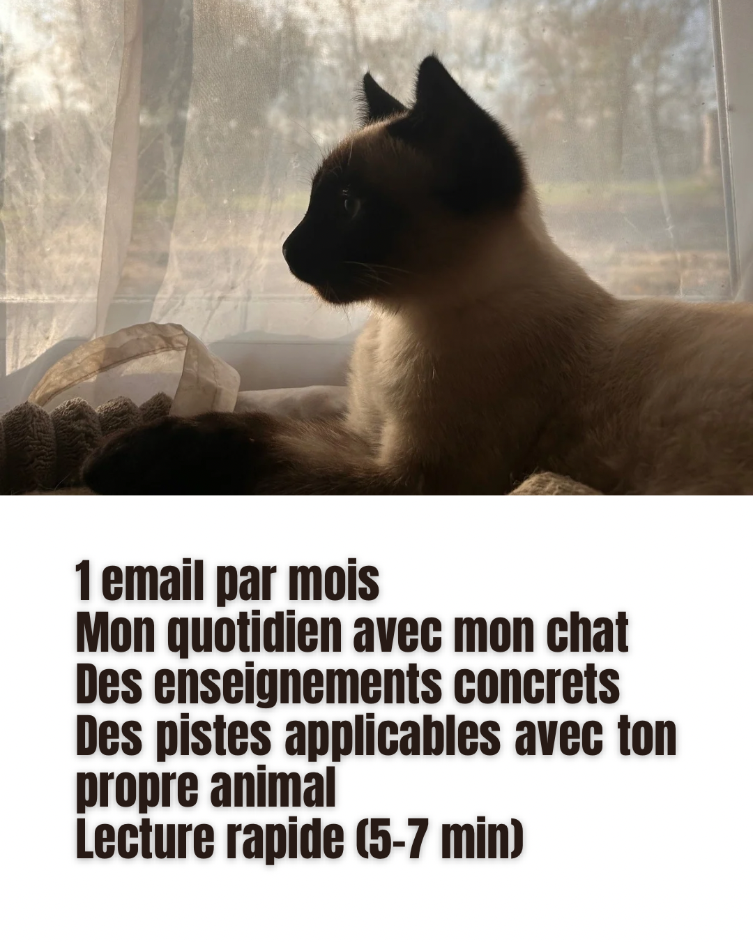 CHATS